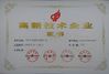 Κίνα Wuhan JOHO Technology Co., Ltd Πιστοποιήσεις